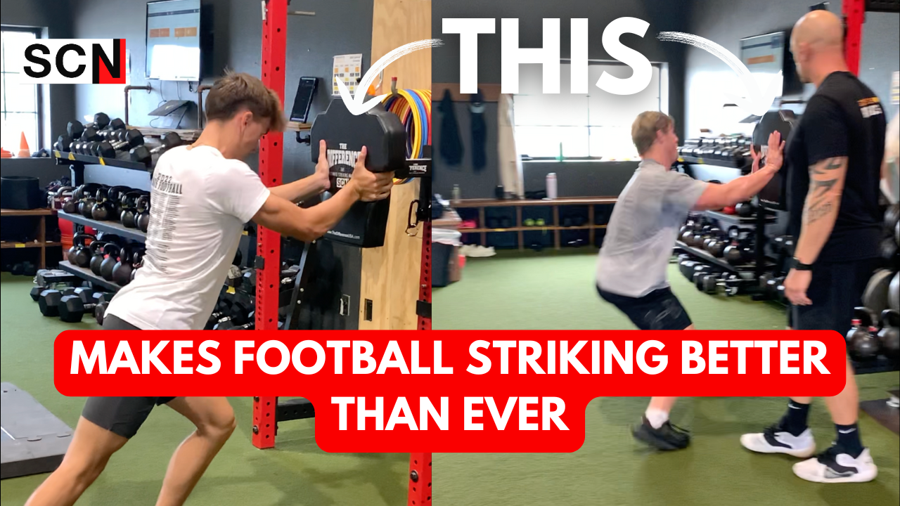 The Icing on the Cake| Having Fun with The Difference in Training