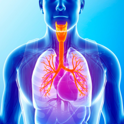 Never Gas Out: Aerobic Models For TSAC